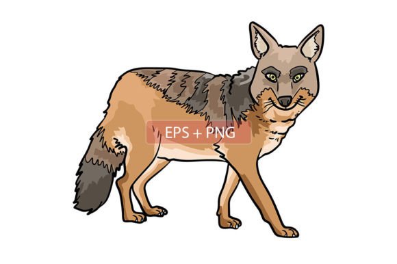 Capturing the Wild Spirit: Jackal Mammals Animal Illustration