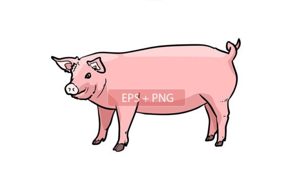 Charming Pig Mammals Animal Illustration for Creative Projects