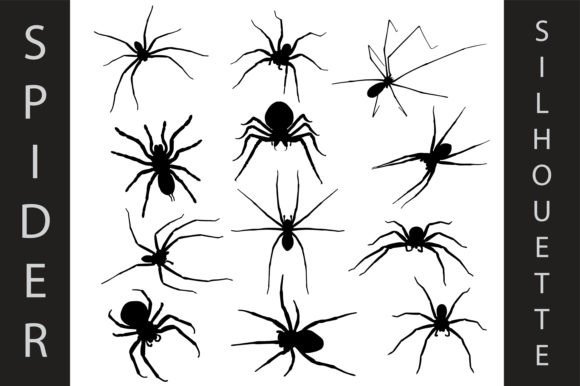 Crafting an Arachnid Aesthetic: The Animal Spider Silhouette Collection