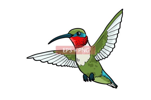 Hummingbird Animal Illustration: Vibrant Vector Art for Every Project