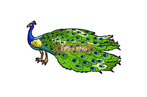 Peacock Bird Animal Illustration: A Design Asset That Pops