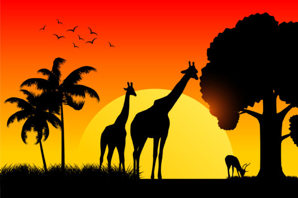 Silhouette Safari Forest with Animal: Wild Typography for Modern Brands
